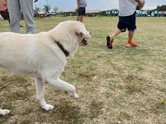 -春花秋色城市公园