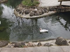 -南湾湖