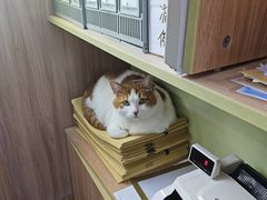 -瑞鹏宠物医院·宠保定点·心脏科·内科(御桥分院)