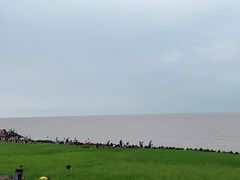 -南汇嘴观海公园