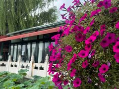 -小王府(什刹海店)