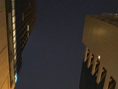 -成都明宇丽雅饭店