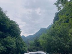 -黑河国家森林公园