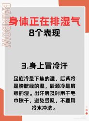 点击看大图 -玛莲朵·海菲秀冰珀科