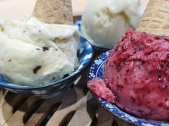 菠萝紫苏乌梅雪葩-歎雪糕低糖低脂Gelato冰淇淋