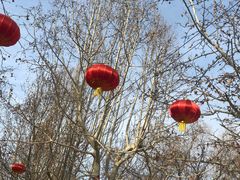 景点-朝阳公园