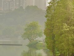 -重庆彩云湖湿地公园