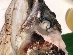 三文鱼刺身-元气寿司(东方宝泰店)
