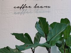 -red donkey coffee