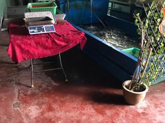 -灯笼馆海鲜餐厅