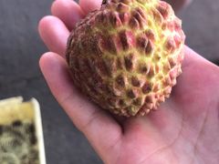 -羊栏农贸市场(羊新路店)