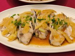 子姜蒸水库大鱼头-北园酒家(小北路店)