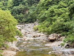 -沣峪口