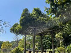 -东莞植物园