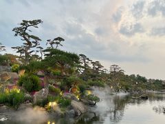 -罗红摄影艺术馆