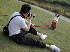 -桤木河湿地公园