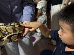 -上海大自然野生昆虫馆(东方明珠·爬宠昆虫探索中心)