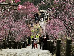 -天台山赤城山景区