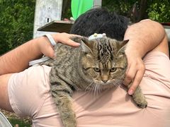 -动邦皮划艇·桨板·独木舟·团建户外运动俱乐部