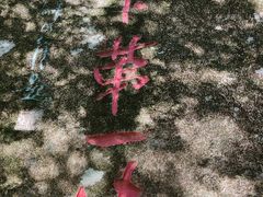 -黄椅山火山森林公园