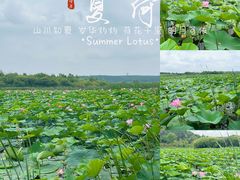 -长春净月潭风景名胜区