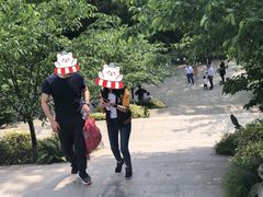 -南山植物园