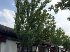 -蟠龙天地