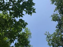 -盘龙城国家考古遗址公园