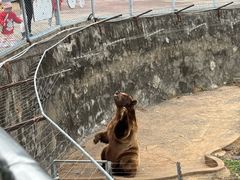 -无锡动物园·太湖欢乐园