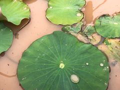 -远山有窑