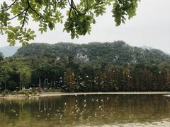 -星湖旅游景区七星岩