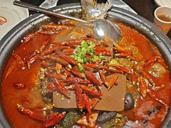 -探鱼·鲜青椒爽麻烤鱼(广州欣荣广场店)