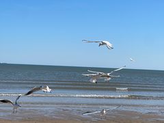 -金梦海湾浴场