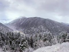 -黄龙山原始森林景区