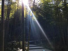 -天目湖御水温泉·度假酒店