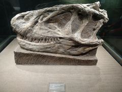 -自贡恐龙博物馆