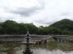 -红山村