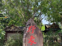 -野象谷景区