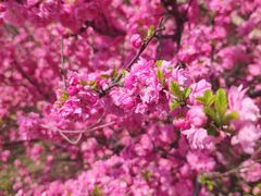 -长春公园(普阳街道)