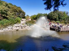 -北京西山国家森林公园