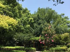 -徐家汇源景区-衡山公园