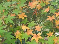 -共青国家森林公园-售票处