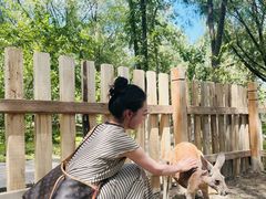 -水上乐园·欢乐世界