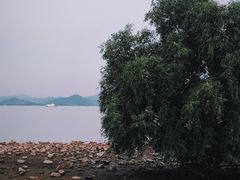 -深圳湾公园(南山区)
