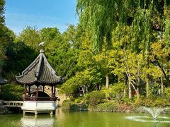 -上海醉白池公园