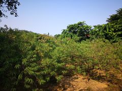 -南国桃园旅游度假区