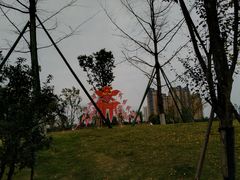 -府河摄影公园