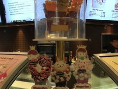 -哈根达斯(石家庄北国店)