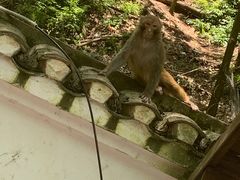 -黔灵山公园