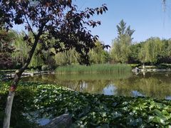 -木塔寺遗址生态公园